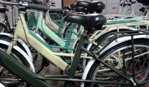 Elephant Bikes lined up waiting for their stickers!