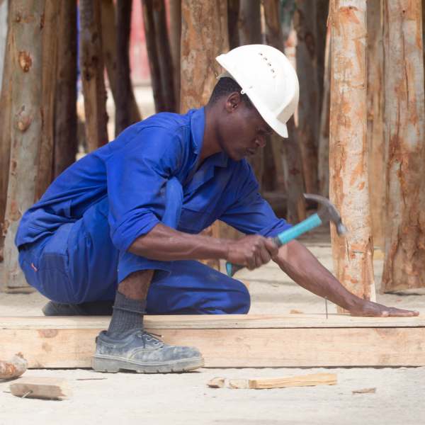 Beehive Construction worker